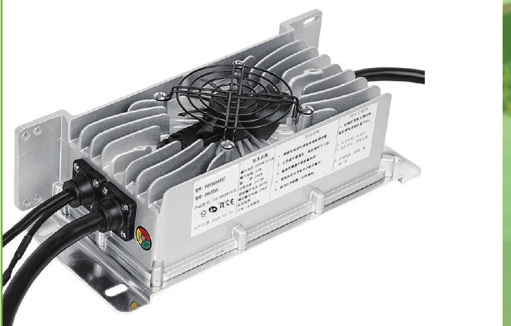 Supplier catalogue view of an LZT1100W-family charger showing its housing and mounting structure